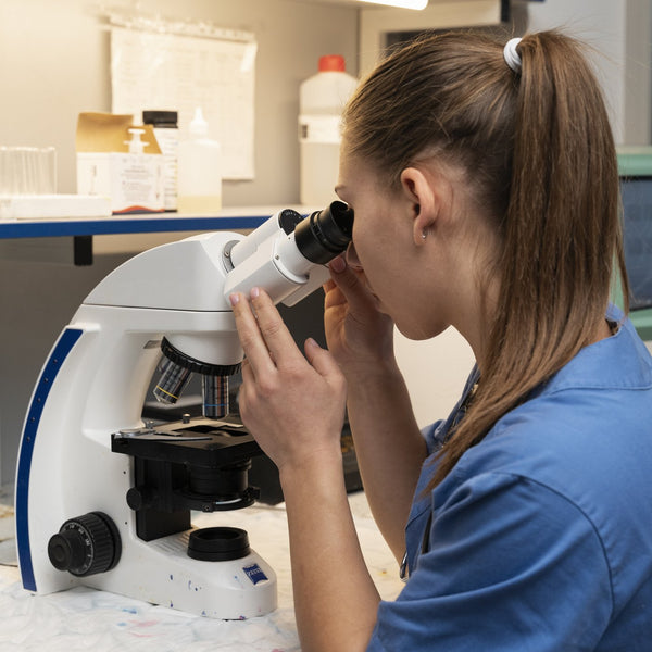 Scientist examining samples in a laboratory