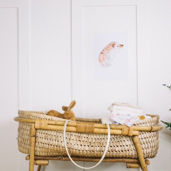 Baby nursery with a bassinet
