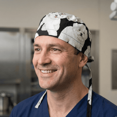 Bichon Frise Dogs scrub cap shown on model