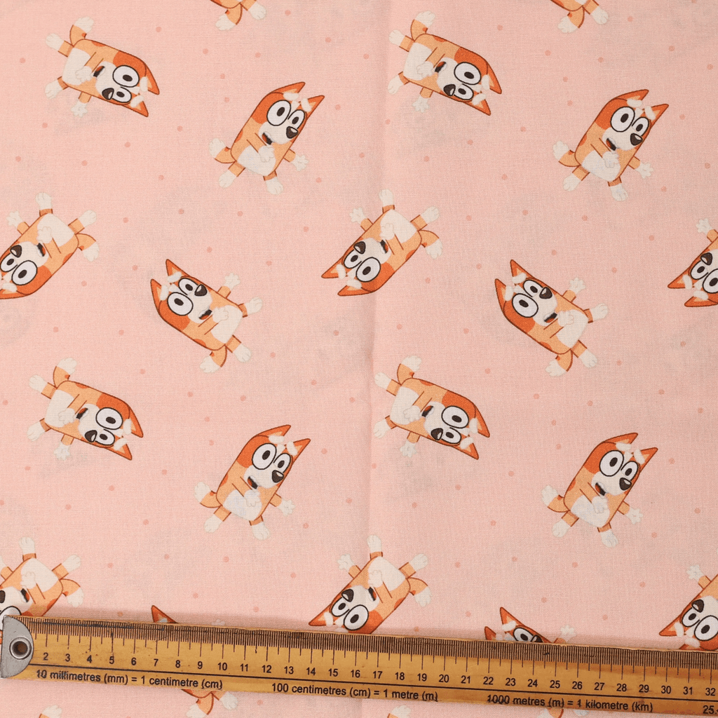 Gorro quirúrgico Bluey Family + Friends