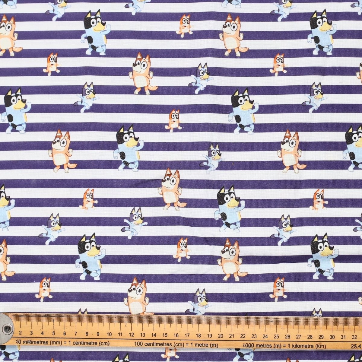 Gorro quirúrgico Bluey Family + Friends