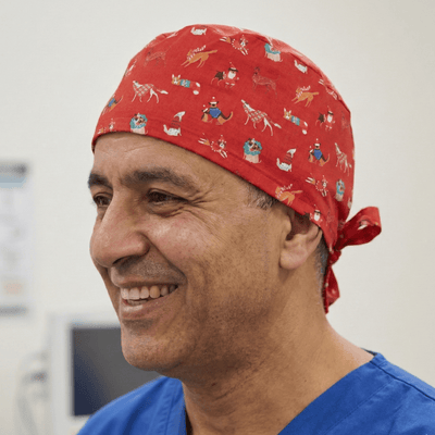 Christmas Dog Jumper Day Red scrub cap shown on model