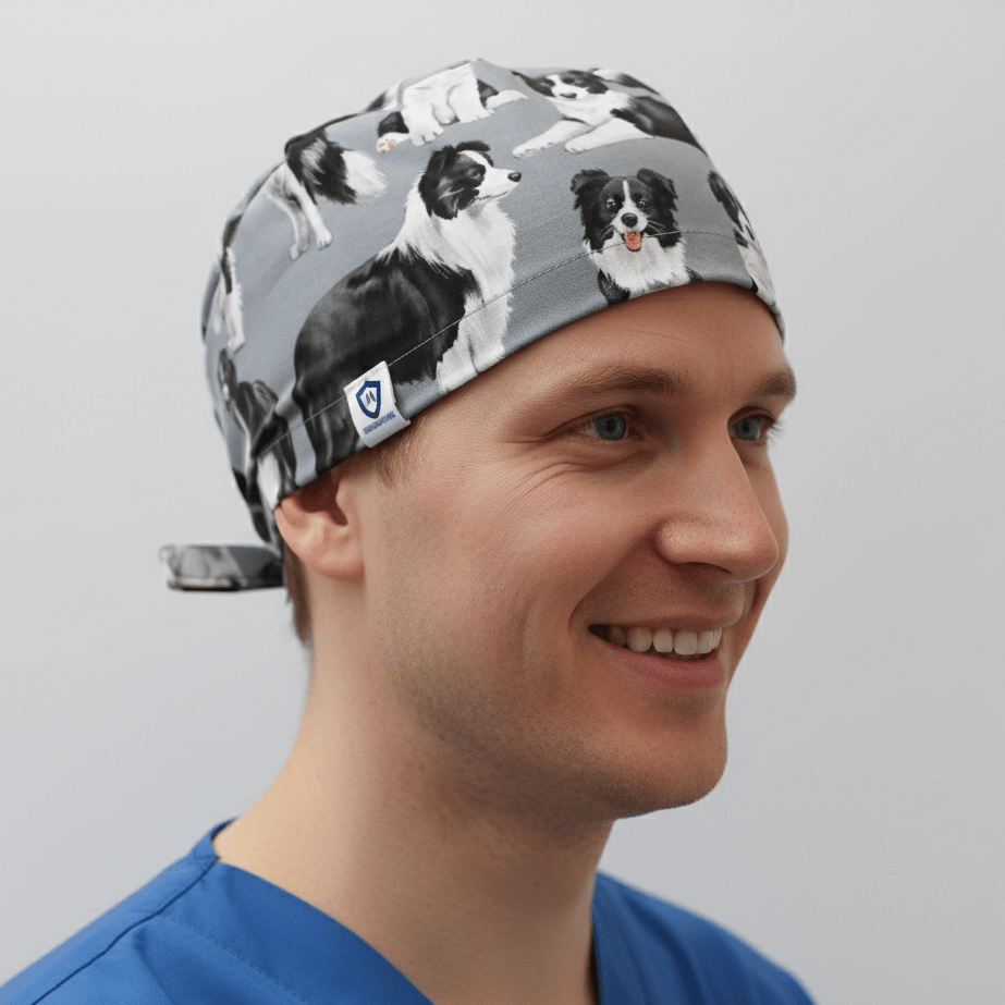 Perros Border Collie con gorro quirúrgico gris