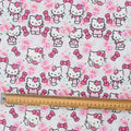 Close-up of Hello Kitty in pink rose garden print with bows and roses, fabric swatch with ruler for scale.