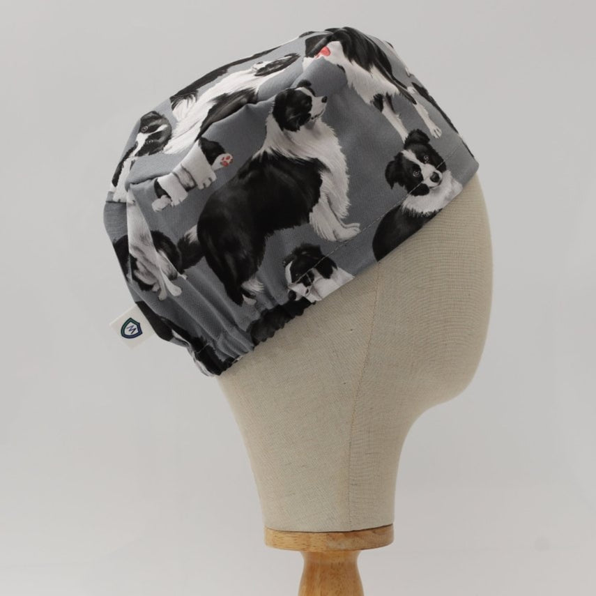 Perros Border Collie con gorro quirúrgico gris