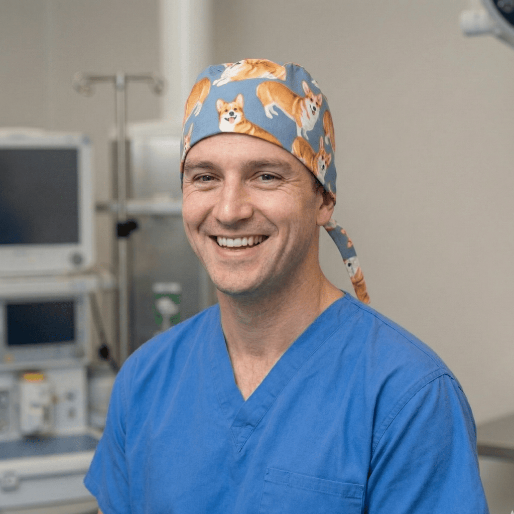 Healthcare professional wearing Royal Corgi Dogs scrub cap with orange corgis on blue background, front view