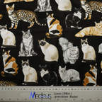 Cats Stare From Far scrub cap fabric texture close-up