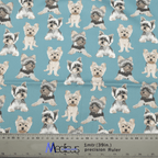 Dog Breeds Yorkshire Terrier (Yorkie) Blue scrub cap