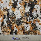 Dogs Starring Group Photo scrub cap fabric texture close-up