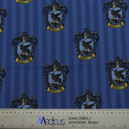 Harry Potter Ravenclaw scrub cap on mannequin alternative angle